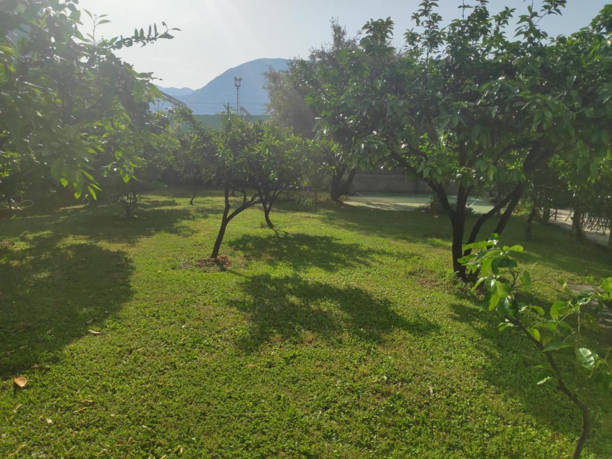 Leisure House Jovovic Villa Bar Dış mekan fotoğraf